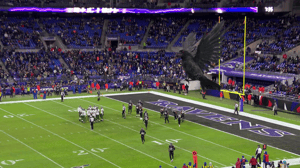 Giant AR Baltimore Raven flying above the stadium